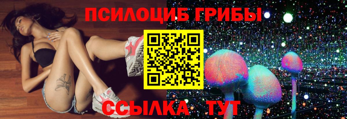 Галлюциногенные грибы Magic Shrooms  Галлюциногенные грибы MAGIC MUSHROOMS  Вход с VPN  Красный Сулин 