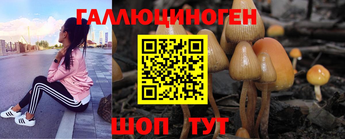 Псилоцибиновые грибы GOLDEN TEACHER Красный Сулин