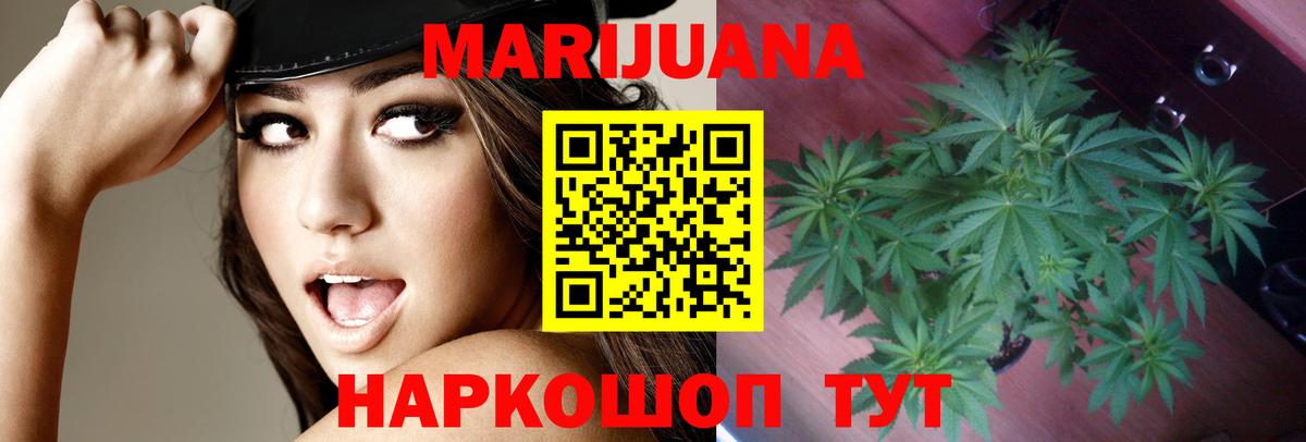 Бошки Шишки конопля Красный Сулин